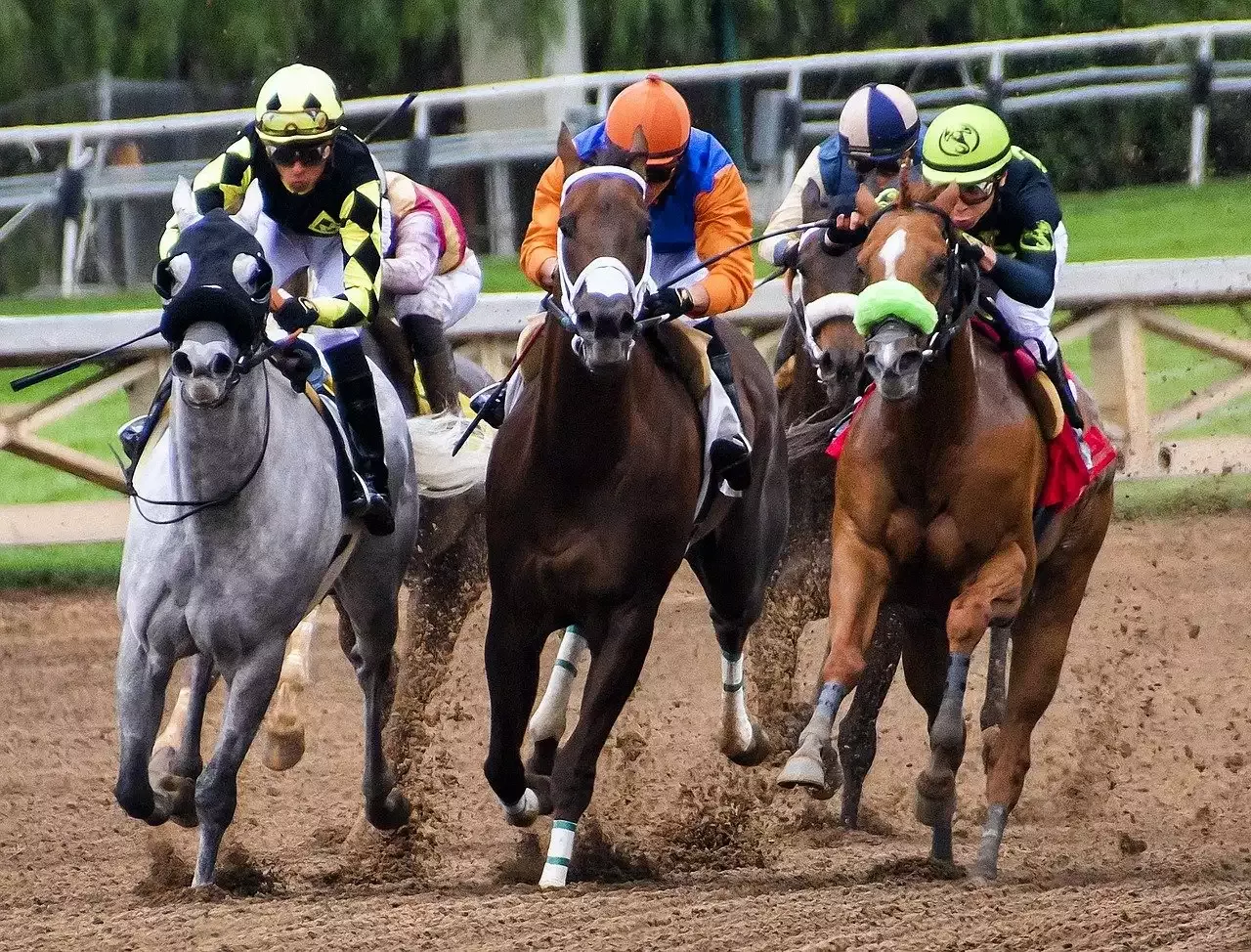 Horse Racing Meetings-Royal Ascot